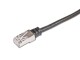 Wirewin Patchkabel RJ-45 - RJ-45, Cat 5e, F/UTP, 10