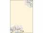 Sigel Motivpapier White Orchid A4, 50 Blatt, Papierformat: A4