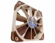 Noctua