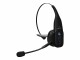 Jabra BLUEPARROTT B350-XT HDST BPB35020                    IN  NMS IN ACCS