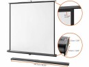 Celexon Mobile Leinwand Ultramobil Pro 200x200cm 1:1, Leinwandtyp