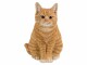 Vivid Arts Dekofigur Katze Ginger, Natürlich Leben: Keine