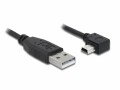 DeLock USB 2.0-Kabel 90°gewinkelt USB A - Mini-USB B
