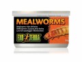 Exo Terra Dosenfutter Mealworms, 34 g, Reptilienart: Agamen
