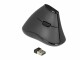 DeLock Ergonomische Maus 12622 Silent USB