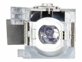 ViewSonic REPLACEMENT LAMP FOR PJD7831HD 210W,