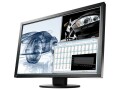 EIZO Monitor EV2430W-Swiss Edition, Bildschirmdiagonale: 24.1 "