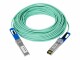 NETGEAR - 10GBase direct attach cable - SFP+ (M