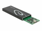 DeLock Externes Gehäuse für M.2 SATA SSD mit USB