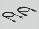 DeLock KVM Switch 2 Port HDMI/USB-C 4K/60Hz, Konsolen Ports