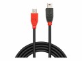 LINDY - USB-Kabel - Mini-USB, Typ B (M) bis