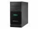 Hewlett-Packard HPE ProLiant ML30 Gen10 Plus Performance - Server