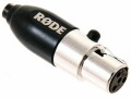 Rode Audio-Adapter MiCon-3 Mini XLR - MiCon, Kabeltyp: Adapter