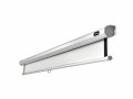 Celexon Rollo-Leinwand Eco 120x120cm 1:1, Leinwandtyp