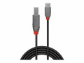 LINDY 2m USB 2.0 Type C to B cable