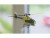 Bild 2 Amewi Helikopter AFX-135 Alpine Air Ambulance 4-Kanal, RTF