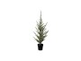 Sirius Weihnachtsbaum Milas, 100 cm, 100 LEDs, Grün, Höhe