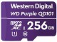 Western Digital WD Purple SC QD101 WDD256G1P0C - Carte mémoire flash