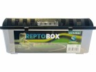 Repto Kunststoffterrarium Breedingbox XL, 42 x 26 x 16