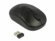 DeLock Mobile Maus 12494 USB kabellos, Maus-Typ: Mini, Maus