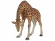Vivid Arts Dekofigur Giraffe, Natürlich Leben: Keine Besonderheiten