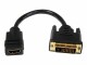 STARTECH .com HDMI auf DVI Adapter 20cm - DVI-D (25