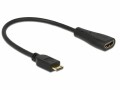 DeLock Adapterkabel Mini-HDMI (HDMI-C) - HDMI, Kabeltyp
