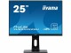 iiyama Monitor ProLite XUB2595WSU-B1, Bildschirmdiagonale: 25 "