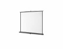 Celexon Mobile Leinwand Ultramobil Pro 160x160cm 1:1, Leinwandtyp