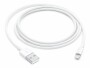 Apple USB 2.0-Kabel USB A - Lightning 1 m