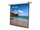 Celexon Economy electric screen -