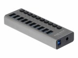 DeLock USB-Hub 63670 10x USB-A, Stromversorgung: Netzteil, Anzahl