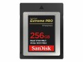 SanDisk Extreme Pro - Carte mémoire flash - 256 Go - CFexpress