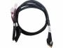 Adaptec Slim-SAS-Kabel ACK-I-SlimSASx8-2SFF-8639x4-U.2-0.8M 80 cm