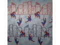 Kindervorhang.ch Nachtvorhang Marvel Spiderman 140 x 260 cm, Breite