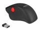 DeLock Ergonomische Maus 12598 USB