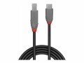 LINDY 0.5m USB 3.2 Type C to B Cable