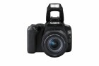 Canon Kamera EOS 250D Body & EF-S 18-55mm f/4-5.6 IS STM