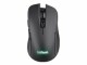 Trust Computer Trust GXT 923 Ybar - Mouse - gaming