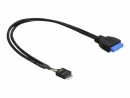 DeLock USB Kabel intern 45cm, USB3-Buchse zu USB2