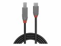 LINDY 2m USB 3.2 Type C to B Cable