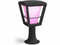 Philips Hue Outdoor Sockelleuchte Econic 17441/30/P7, Lampensockel: LED