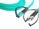 Lightwin - Patch cable - ST multi-mode (M) to