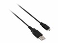 V7 Videoseven V7 - USB-Kabel - USB (M