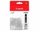 Canon Tinte 4872B001 / PGI-29LGY light grey, 36ml, zu