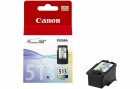 Canon Tinte CL-513 / 2971B001 Color, Druckleistung Seiten: 349