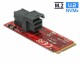 DeLock Host Bus Adapter M.2 - U.2, SFF-8643 NVMe