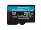 Kingston 256GB MSDXC CANVAS GO PLUS 170R