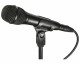 Audio-Technica Mikrofon AT2010, Typ: Einzelmikrofon, Bauweise