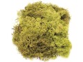 Glorex Moos Island Hellgrün, Farbe
